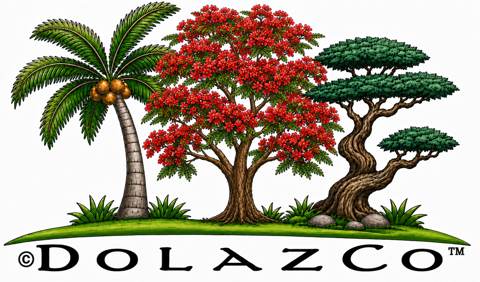dolazco